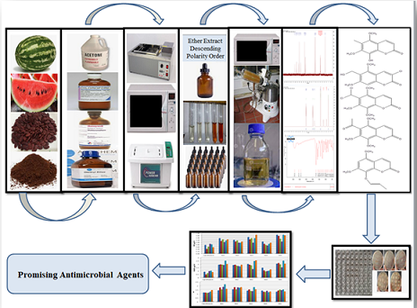 Novel coumarins isolated from the seeds of Citrullus lanatus as potential antimicrobial agents 