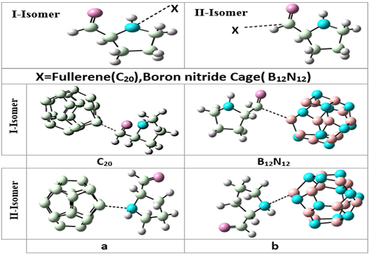 Adsorption of proline amino acid on the surface of fullerene (C20) and boron nitride cage (B12N12): A comprehensive DFT study