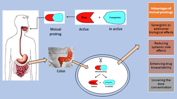 Mutual prodrugs for colon targeting: A review 