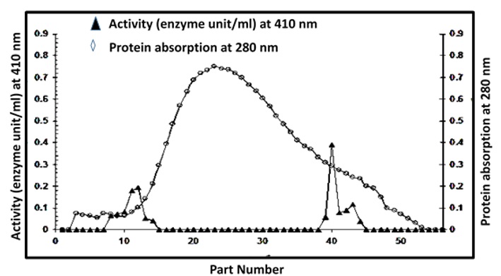 Identification of polyamine compounds and characterization of polyamine oxidase from sheep's brain tissue 