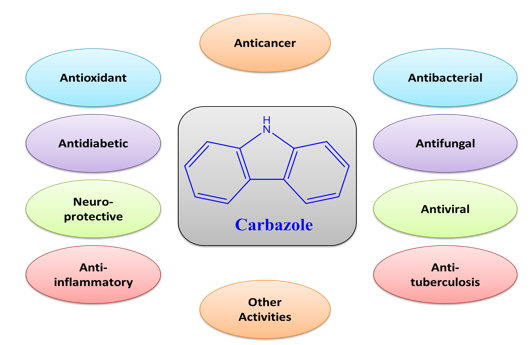 A review on the biological potentials of carbazole and its derived products 