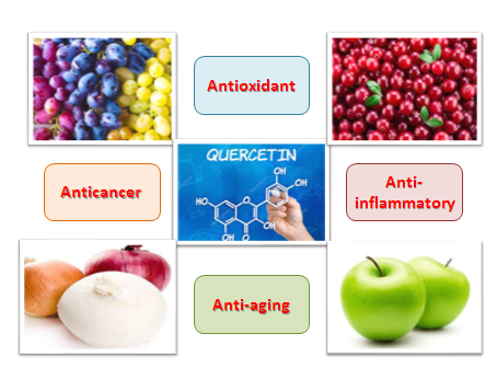 A review of the chemical, pharmacokinetic, and pharmacological aspects of quercetin 