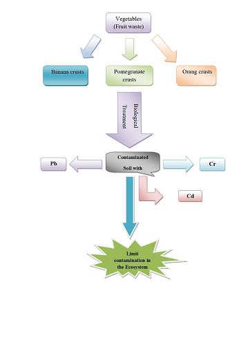 Biological treatment of contaminated soil by some heavy elements by using vegetable and fruit waste 