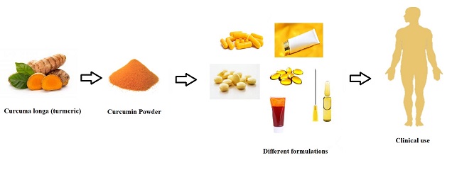 The most important consideration in clinical usage of curcumin 