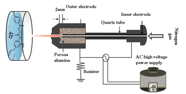 The effect of atmospheric plasma jet on Fusarium species producing mycotoxins T2 and DON: An approach for physical and chemical investigation 