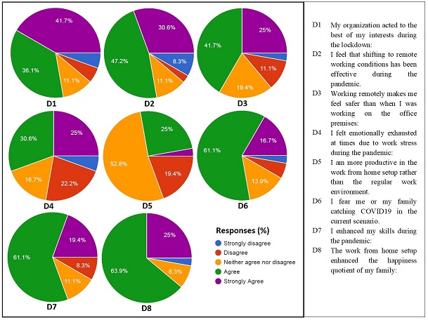 Impact of COVID-19 on employees engagement and burnout: The case of IT companies 